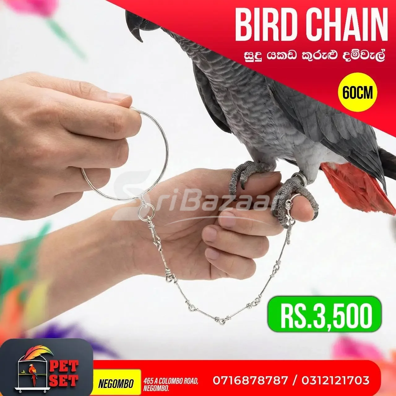 🦜 Stainless Steel Bird Cages & Bird Stand | Bird Accessories | Pet Set Negombo