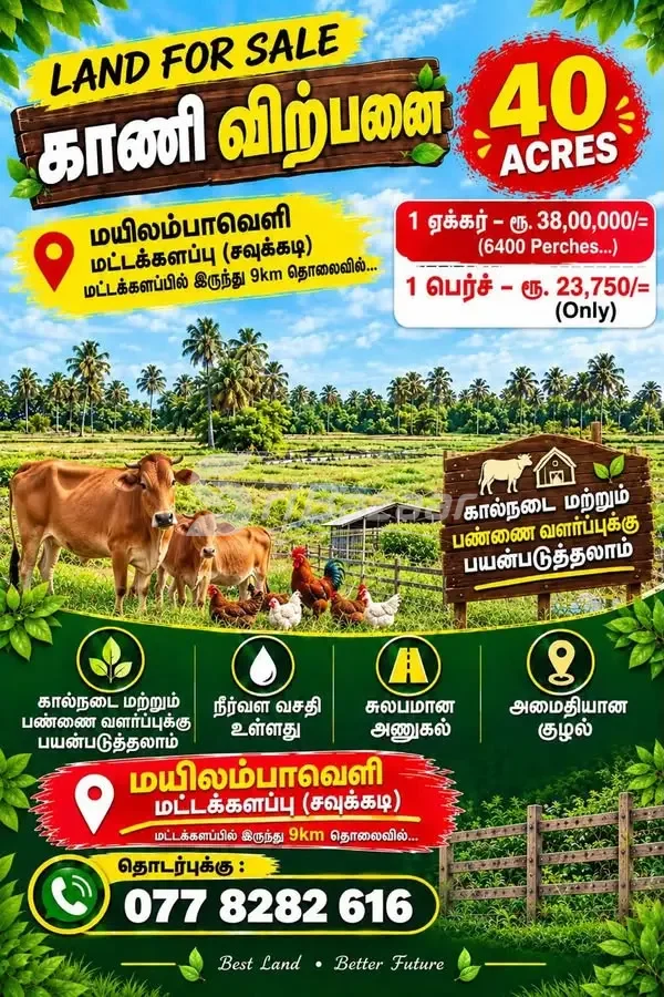 40 Acres Land for Sale in Mayilambaveli, Batticaloa – 6400 Perches