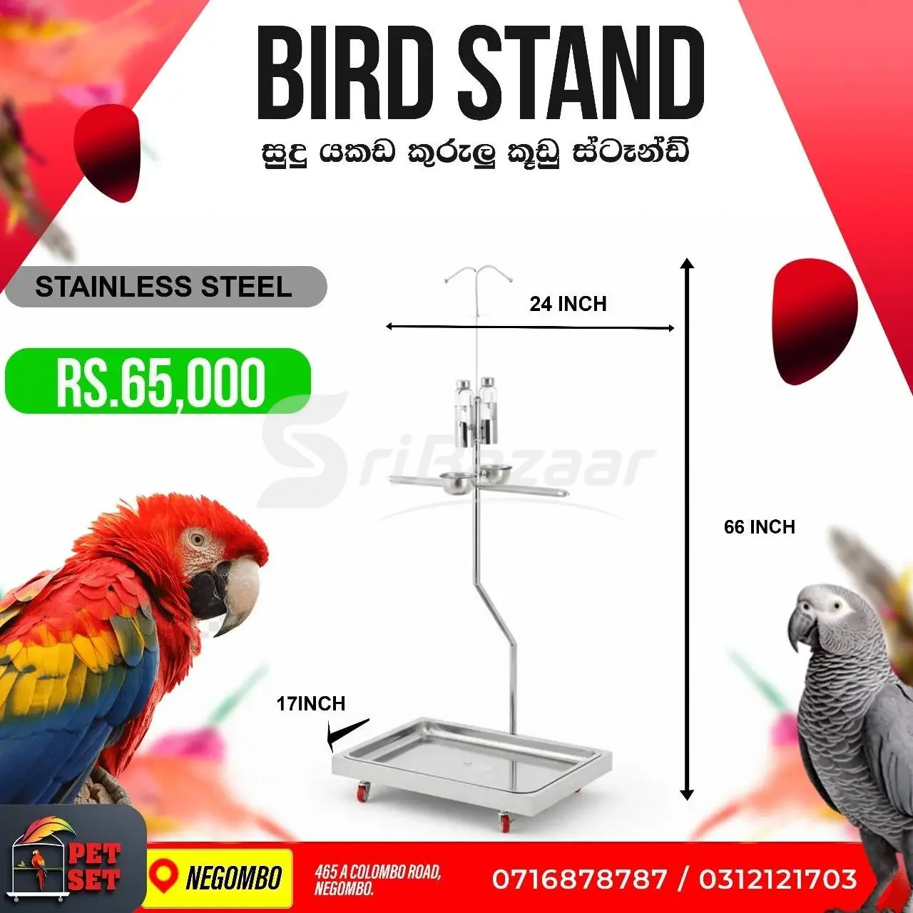 🦜 Stainless Steel Bird Cages & Bird Stand | Bird Accessories | Pet Set Negombo