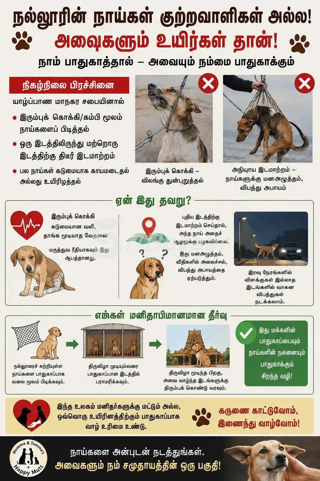 Nallur Dogs – Humane Protection & Safe Relocation Awareness