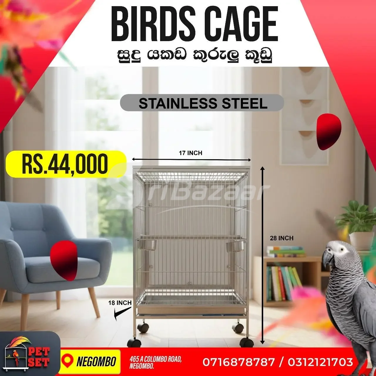 🦜 Stainless Steel Bird Cages & Bird Stand | Bird Accessories | Pet Set Negombo