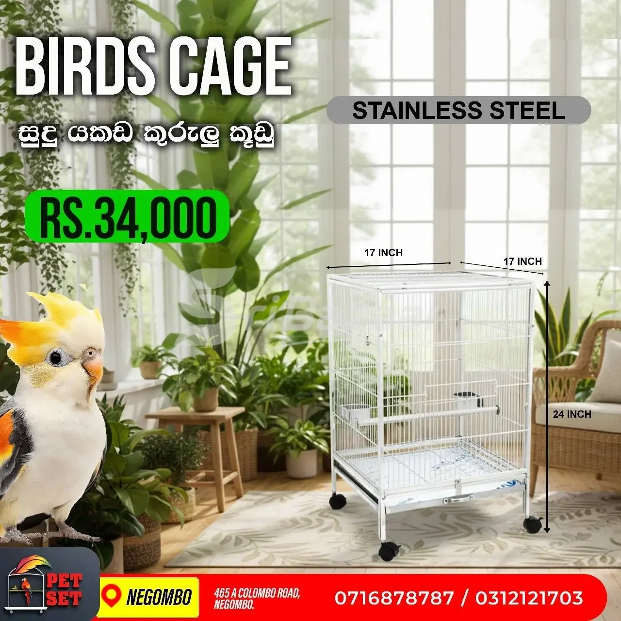 🦜 Stainless Steel Bird Cages & Bird Stand | Bird Accessories | Pet Set Negombo