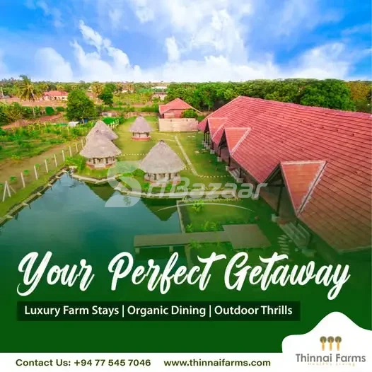 Thinnai Farms – Luxury Farm Stay & Nature Getaway