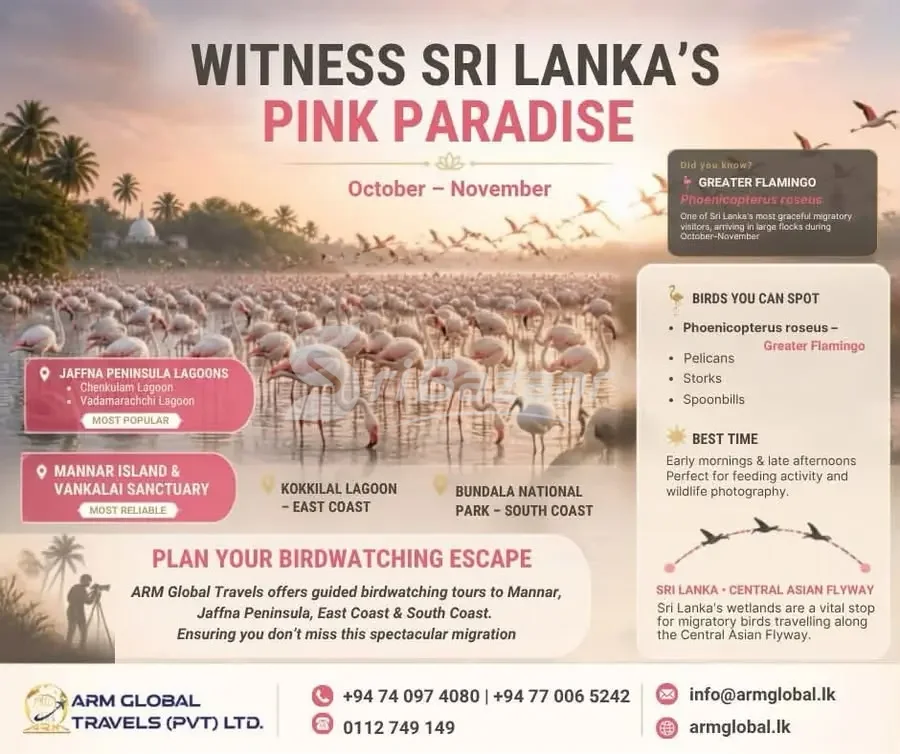 Sri Lanka Pink Paradise Birdwatching Tour – Jaffna, Mannar & Bundala