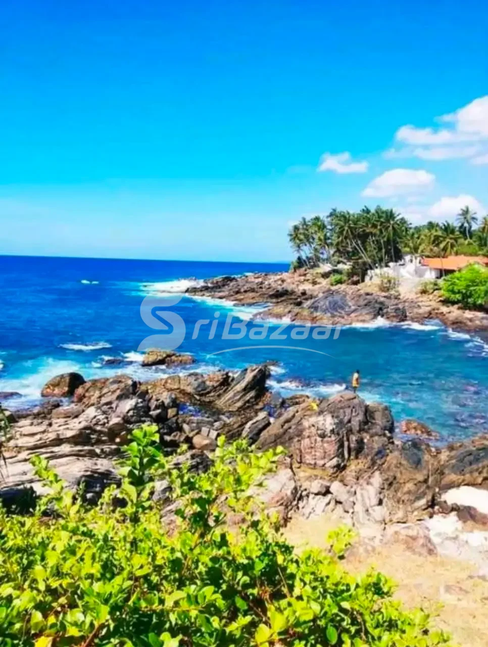 Sea Wind Villa for Sale – Hiriketiya, Dikwella | 4 Bedrooms | 32.5 Perches