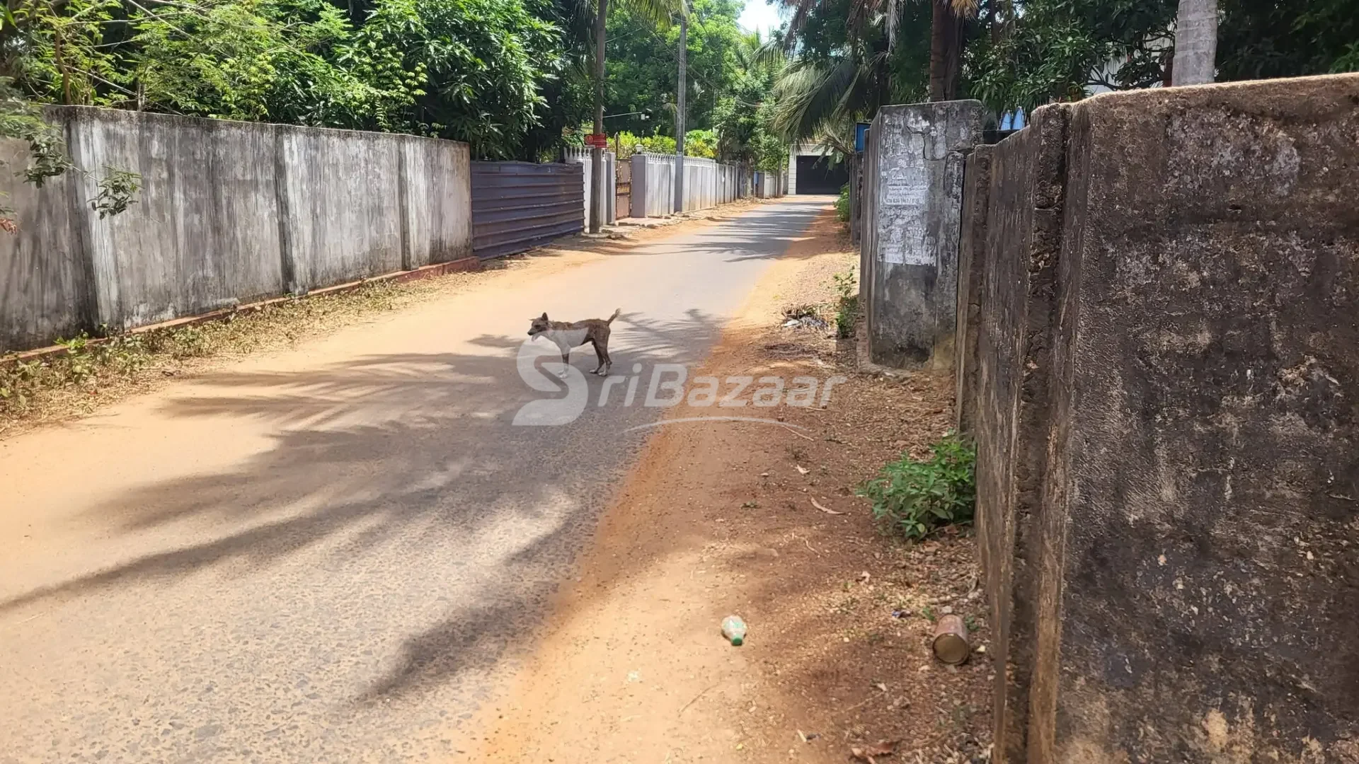 மானிப்பாய் மெமோறியல் வீதியில் 2 பரப்பு (20 பேர்ச்) காணி விற்பனைக்கு
