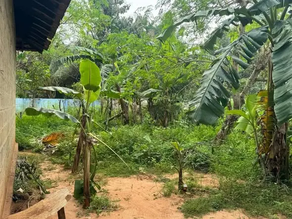 HOUSE WITH LAND FOR SALE IN KILINOCHCHI – READY TO MOVE