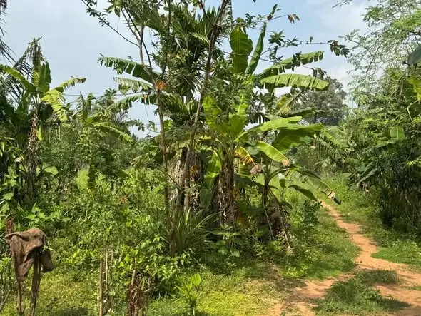 HOUSE WITH LAND FOR SALE IN KILINOCHCHI – READY TO MOVE