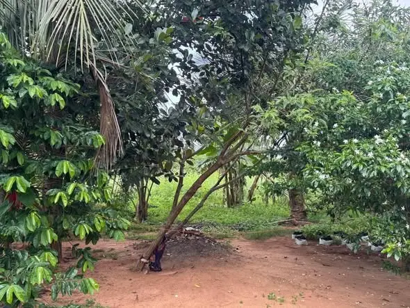 HOUSE WITH LAND FOR SALE IN KILINOCHCHI – READY TO MOVE