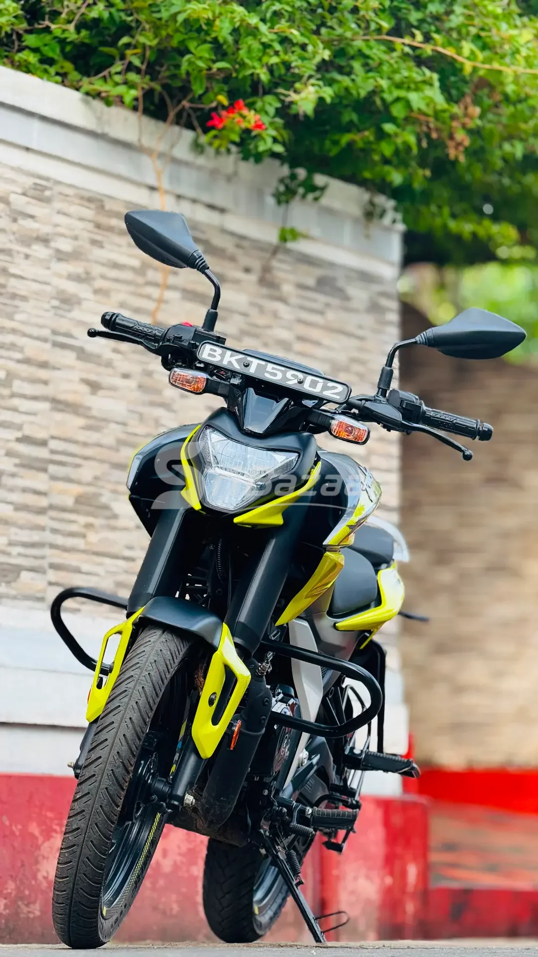 N125 pulsar